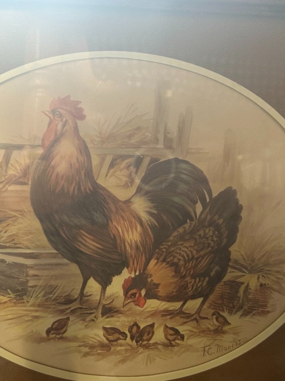 Vintage Rooster picture